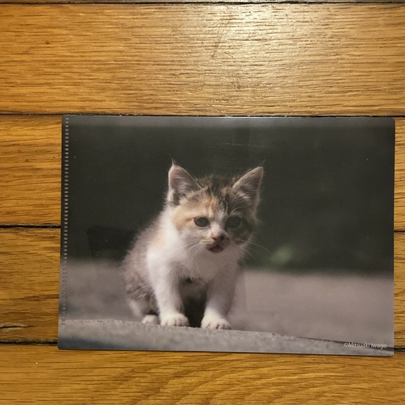 5 Small Plastic Card Folders - Picture 3 of 8